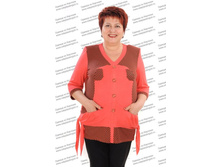 MFS-0811  ���� 515,00