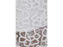 3055 ���a ��������.jpg