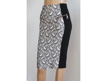 4320 ���a 1500�.jpg