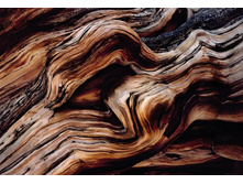 8-520 Old Giant 368-254��  26,5����
