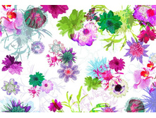 8-911 Fleurs de Paris 368-254��.    22,1����