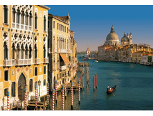 8-919 Venezia 368-254��    23,1����