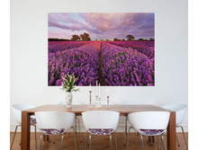 1-615 Lavendel 184-127�� ��������  14����