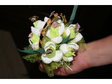 ����������� ���� 250�.jpg