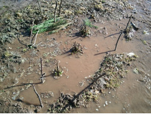 2013-04-17 16.17.35.jpg