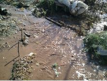 2013-04-17 16.17.43.jpg