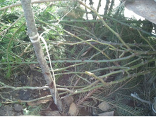 2013-04-17 16.18.11.jpg