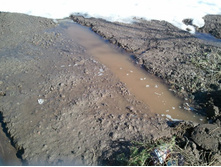 2013-04-17 16.18.24.jpg