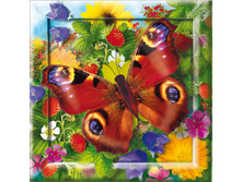 ����� ��� ������������ ������� �������� �������_134 ���.