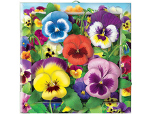 ����� ��� ������������ ������� ������� ������_152 ���.