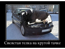 2 �������� �����.jpg