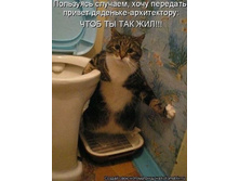 2 ������ �����������.jpg