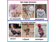 2 ��� ����.jpg