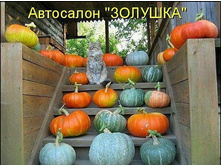 2 ��������� �������.jpg