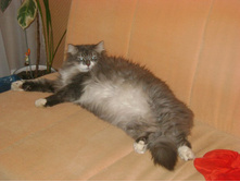 �����, � ������ � �������