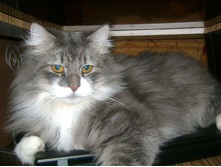 � ���������� ������)