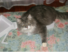 �� ���������� � ��������� ����������...