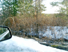 ������ ����.JPG