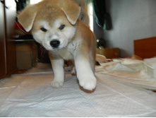 ����� DSCN1073.jpg