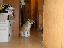 ����������� 005.jpg