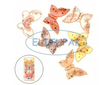 15864 ������� � ��������� ������� �� �������� 10 �� (6��) 175���..jpeg