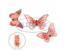 15901 ������� �� �������� ������� �� �������� 10 �� (6��) 181���..jpeg