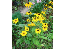 �������� ���������.JPG