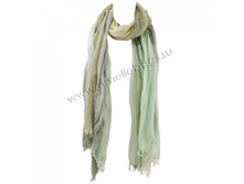 PH2115 �������.jpeg