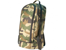 ������ 038 ��������  383 ���