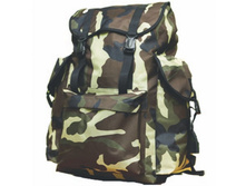 ������ 373 ��������   495 ���