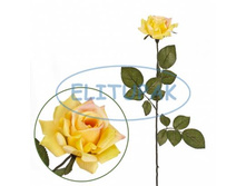 ��000003 ���� ��� ������� ������ 70 �� (24 �� � ���.) 77 �.jpeg