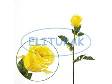 ��000016 ���� ���� ������ 68 �� (60 ��.� ���.) 77 ���.jpeg