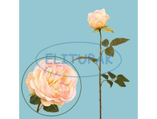 ��000019 ���� ��������� ������� ������� 76��  (12 ��.� ���.) 209 �.jpeg