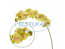 ��000510 ������� ���������� ������� ��̣��� 95 �� (12 ���� � �������) ������ ����  390 ���. ����� ���� 178,20!!!