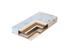 ������ ������� ������� "�������-��������-2"