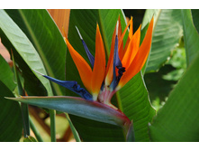 ���������- ������ ��������.....