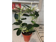 ����������- 350- 450���.