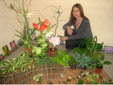 �������������