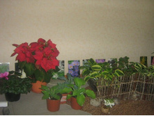  ������, ����� �������� ������� �����...