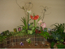 ���������� ���������� ))