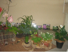 � ������ ���� �������...