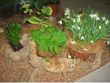 ...���������!  �����������