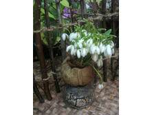 �����. ���������� �����. � �������!