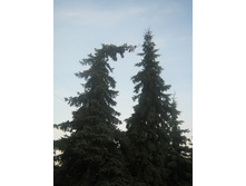 �� ���������))) 