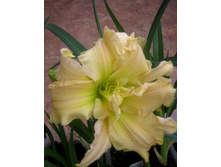 ����, ���� �����!!