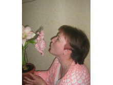 ��������� �������