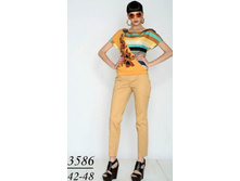 3586  42-48 ���� 2780�.jpg