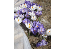 ������� ����� ������ 20.04.13.jpg