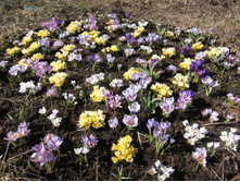 ������� 20.04.13.jpg