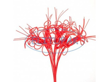 �184 ����� �� ������� �� ���� ��.������� (10) 130.00 ���